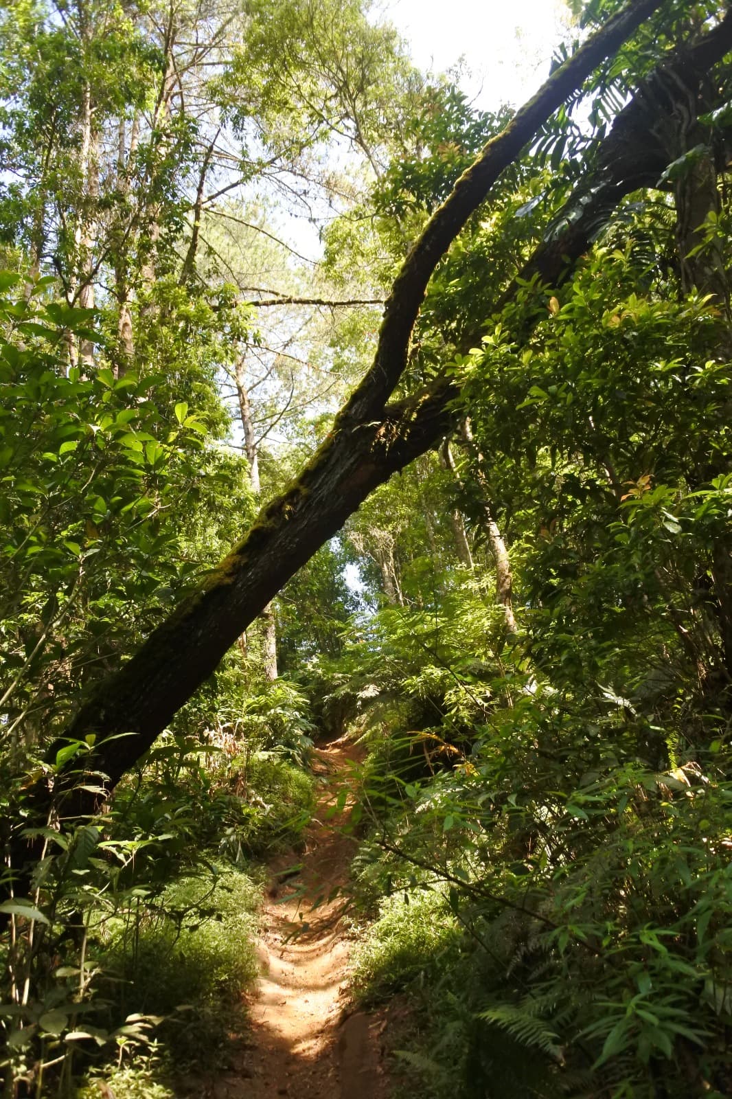 Rintangan alami yang memandu kerendahan hati: merunduk menjadi syarat untuk tetap bergerak maju.