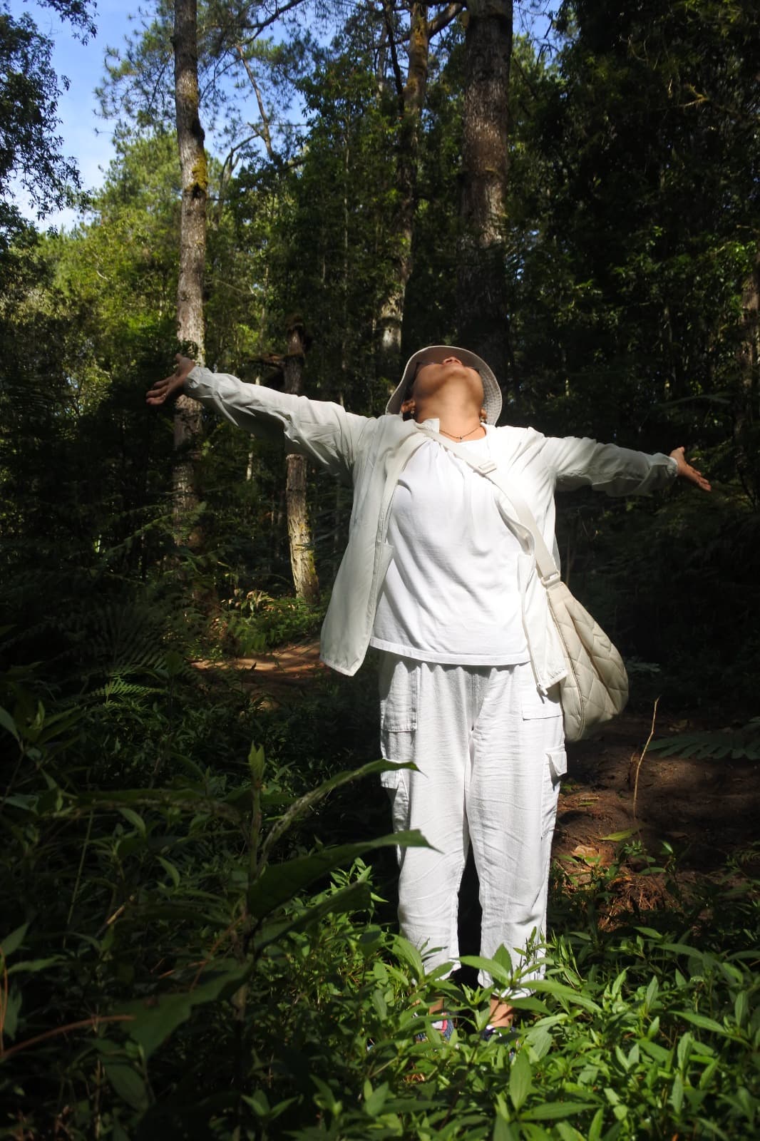 Paparan cahaya alami sebagai mediasi keterhubungan manusia–alam dan pemulihan psikologis.