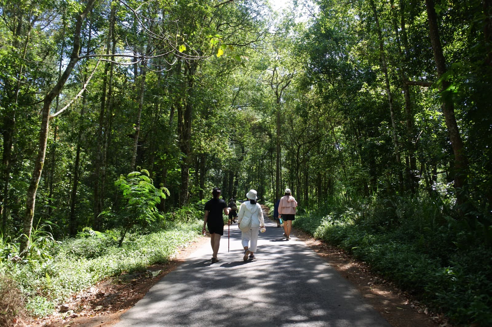 Dari ruang sosial ke ruang ekologis: awal orkestrasi pengalaman restoratif dan transformatif.