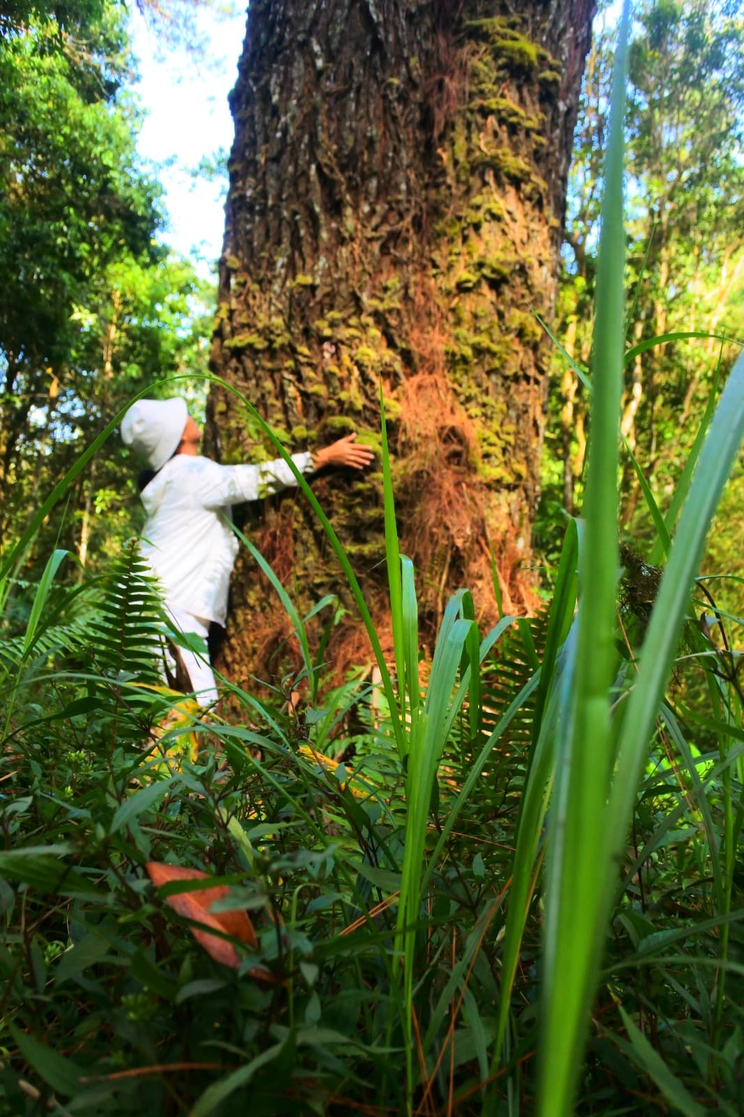 Ritual sederhana dalam ruang liminal: jeda reflektif untuk pemulihan psikologis.