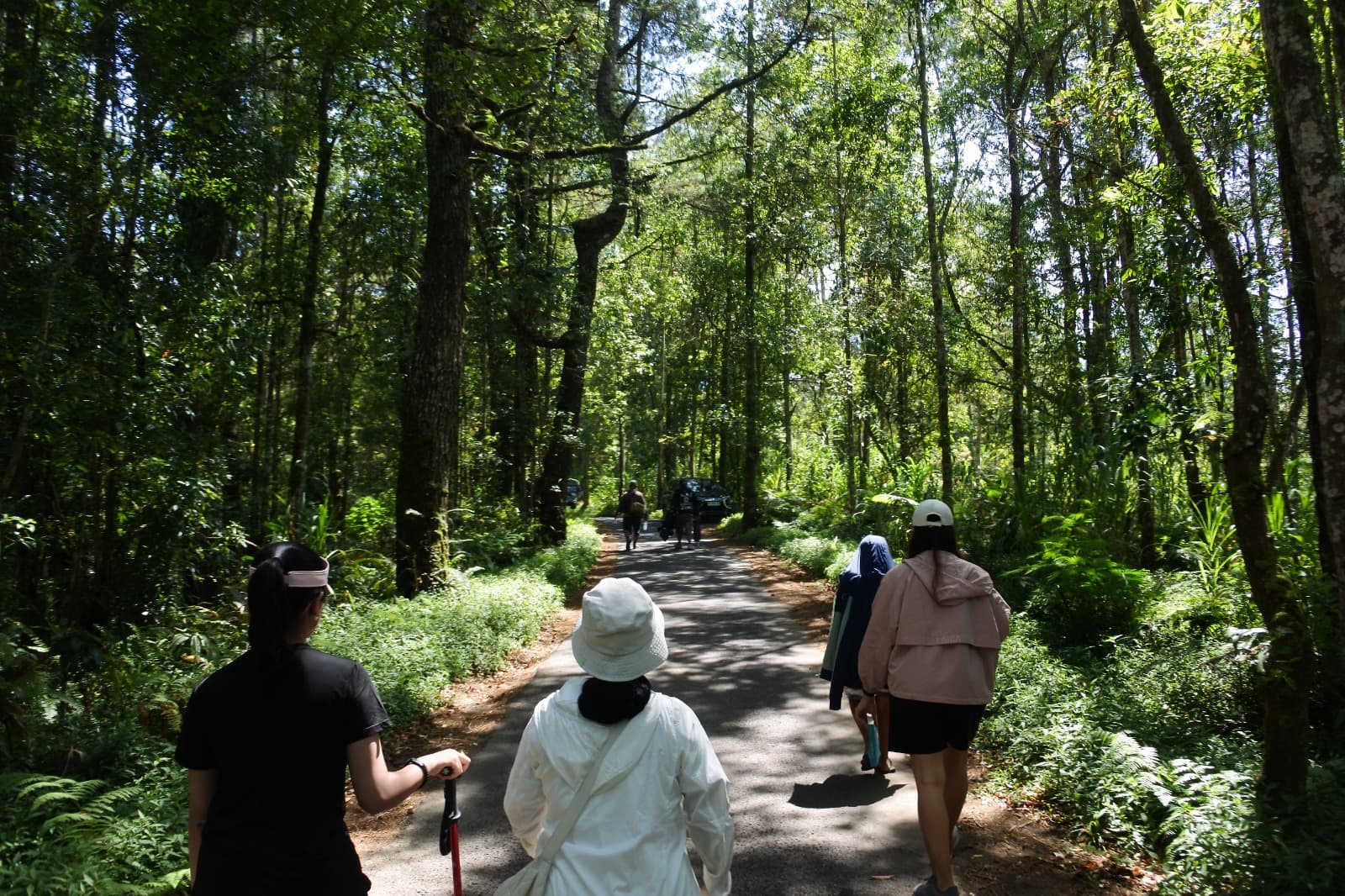 Perjalanan menuju immersion sebagai mekanisme “being away” yang memulai proses restorasi.