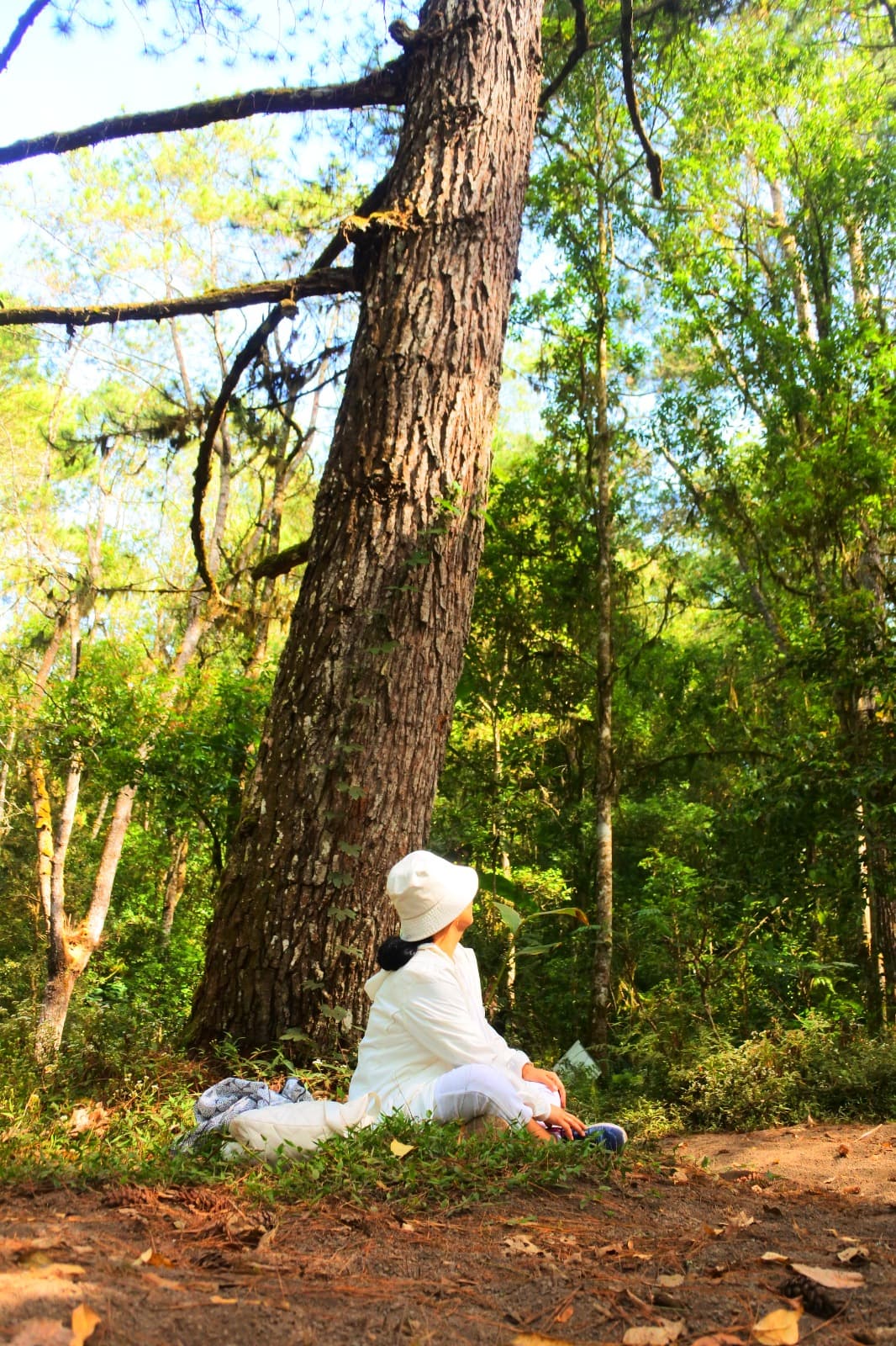 Duduk tenang di bawah pohon besar sebagai praktik regulasi diri dan pemulihan atensi.