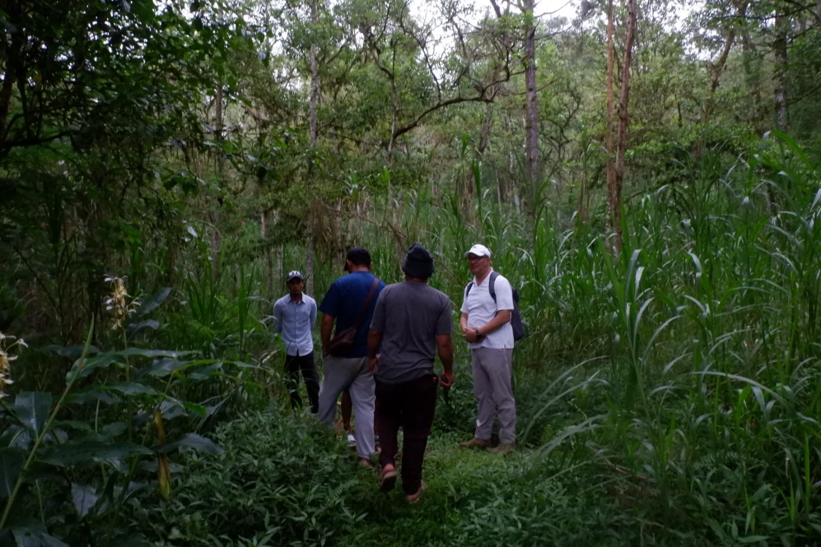 Community engagement in Binyan Forest