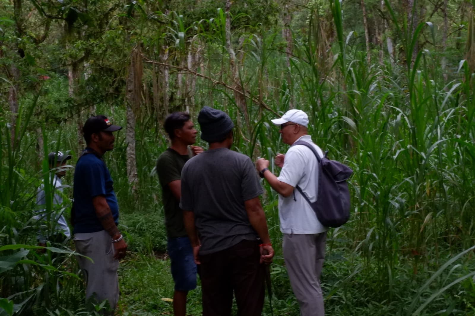 Indigenous facilitators in the forest